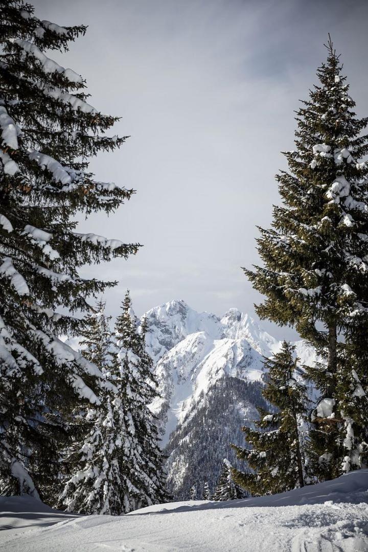Zederberg Appartements Sankt Johann im Pongau Buitenkant foto
